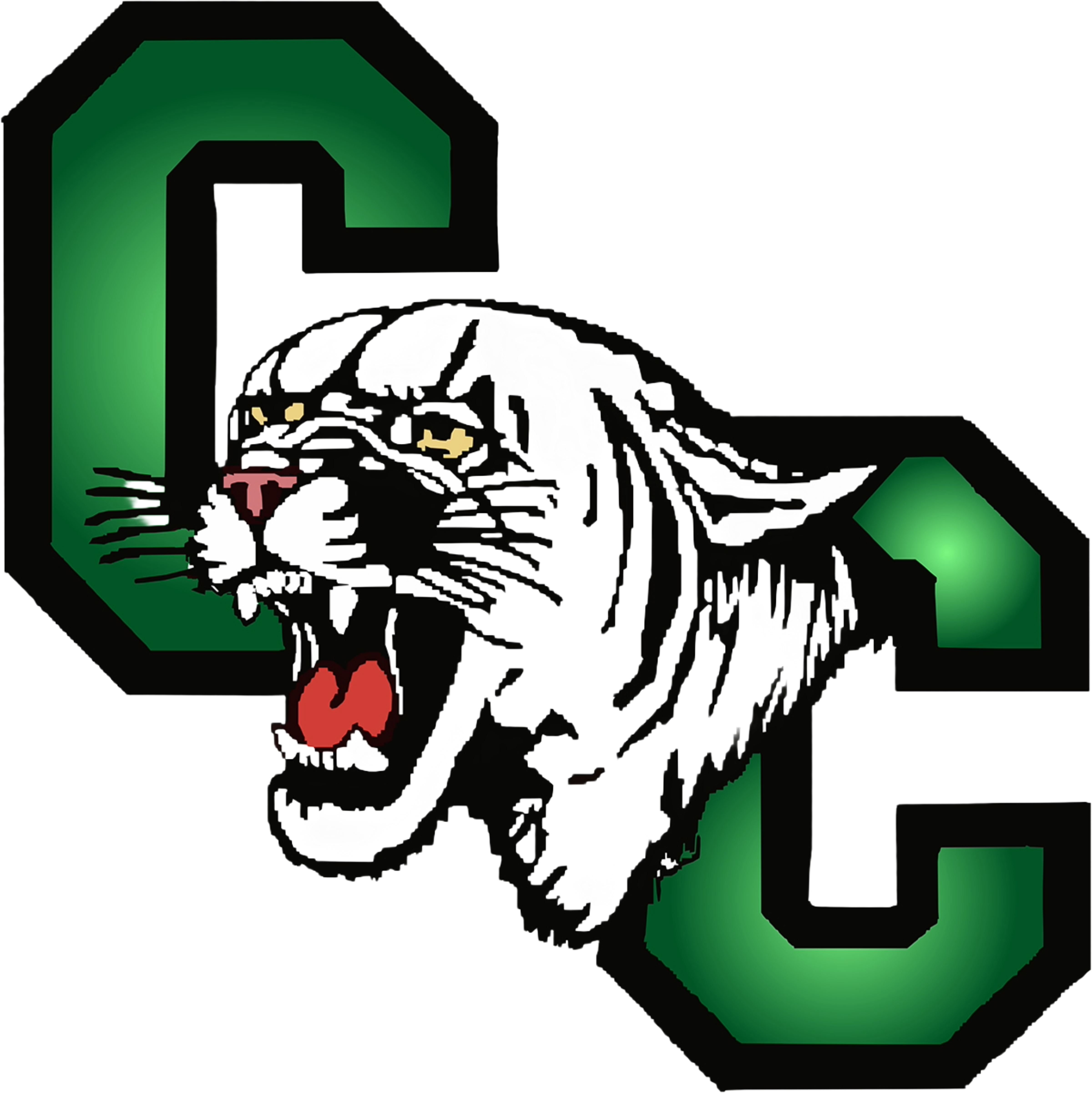 Tournament Team Logo