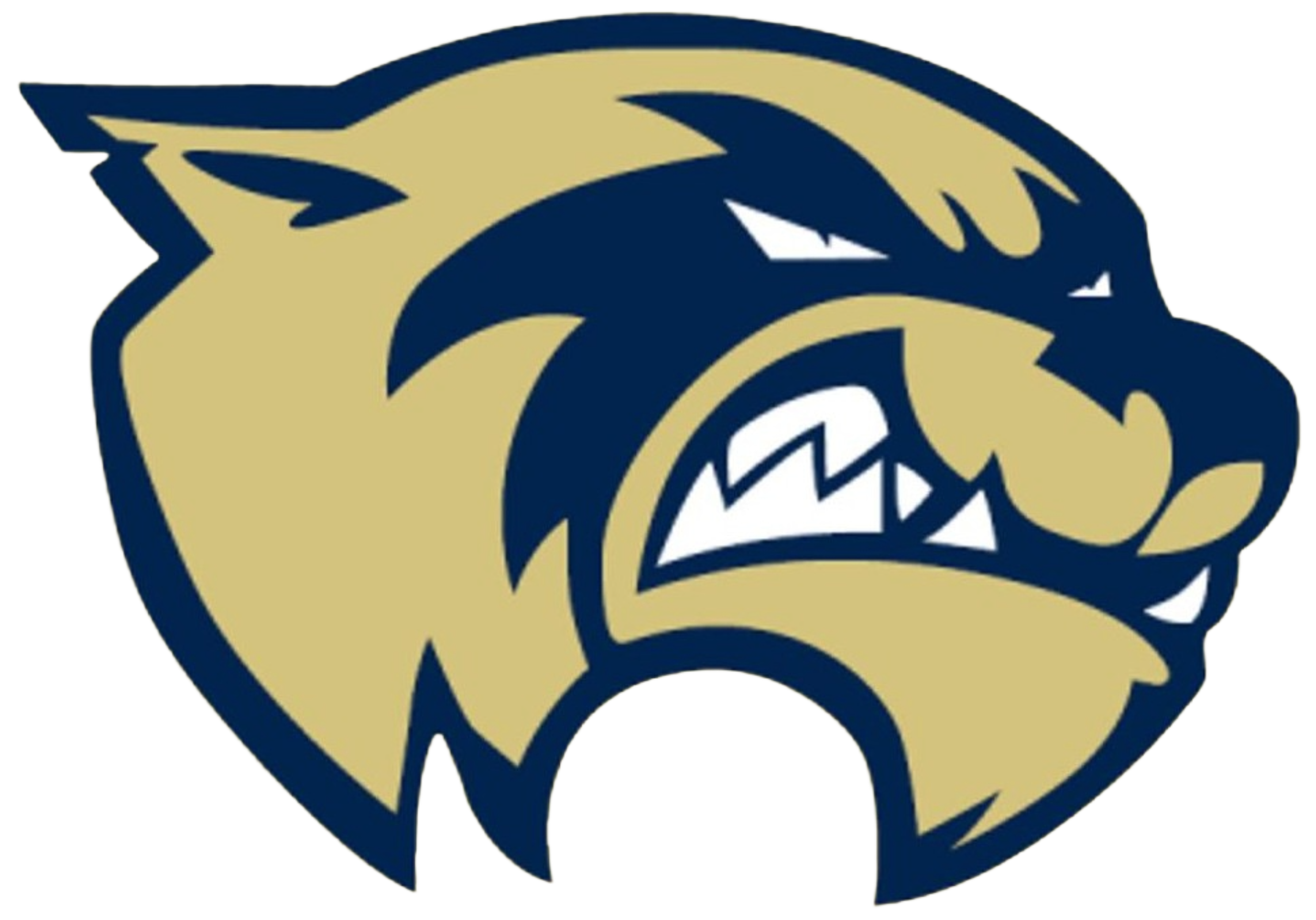 Tournament Team Logo