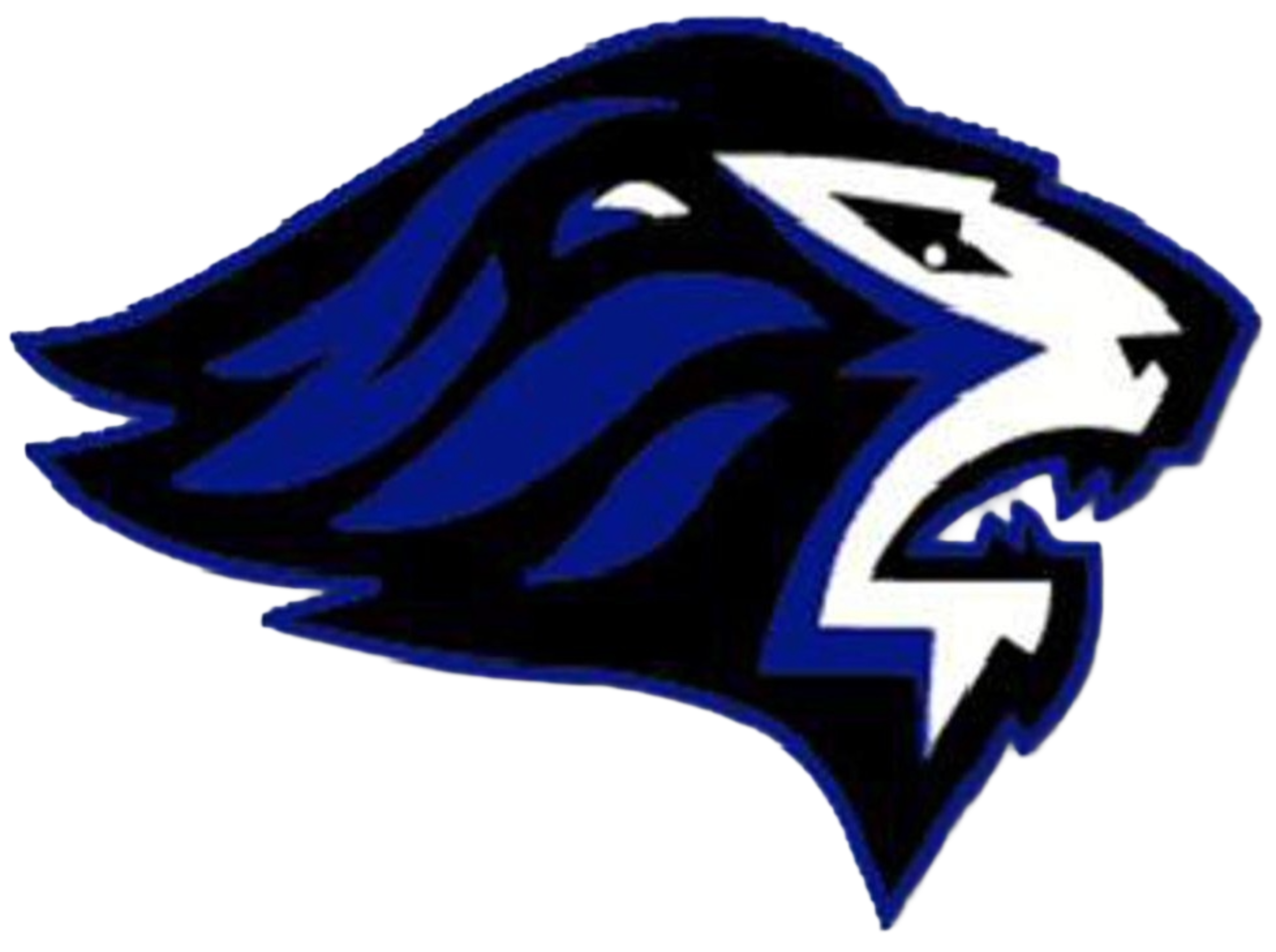 Tournament Team Logo